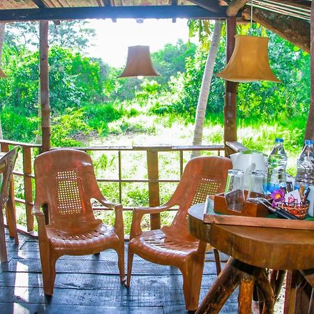 Experience The Comforts Of An Amazing Treehouse Sigiriya Exteriér fotografie