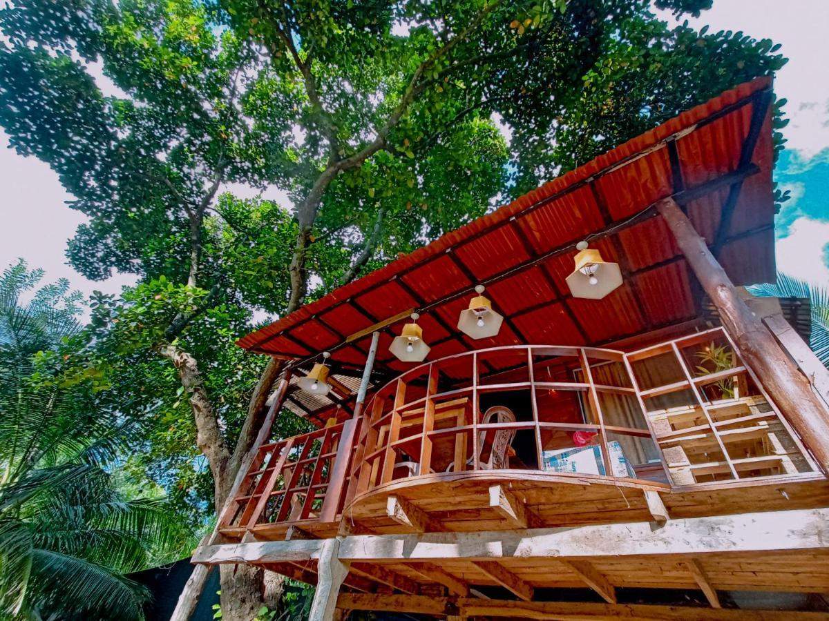 Experience The Comforts Of An Amazing Treehouse Sigiriya Exteriér fotografie