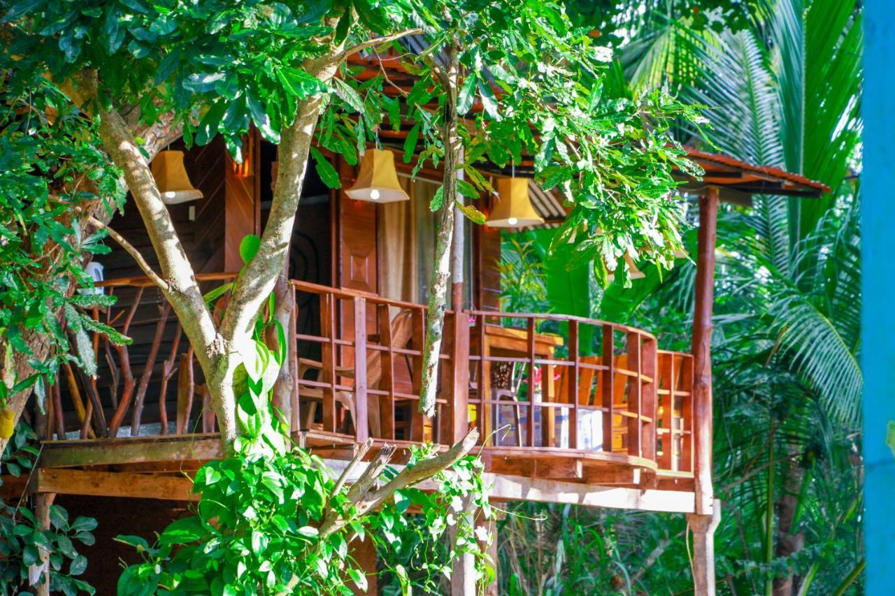 Experience The Comforts Of An Amazing Treehouse Sigiriya Exteriér fotografie