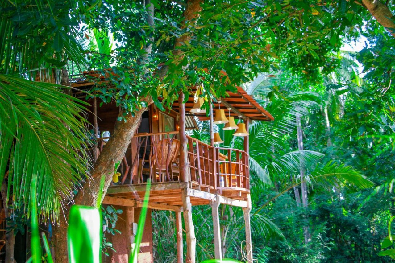 Experience The Comforts Of An Amazing Treehouse Sigiriya Exteriér fotografie
